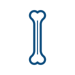 Clavos centromedulares